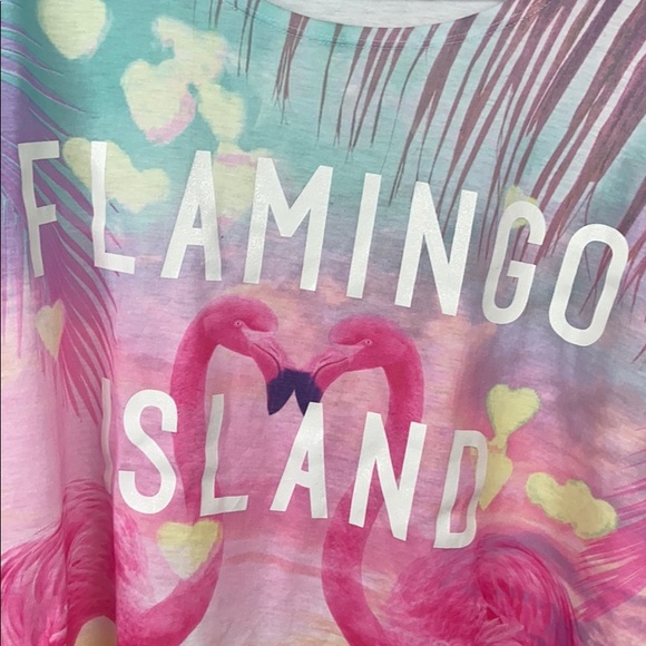 H&M Kids US 14Y+ Flamingo Island Graphic T-Shirt - Picture 4 of 5